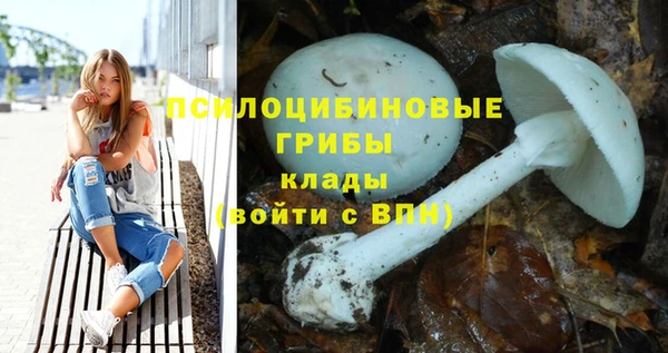 наркотики Богданович