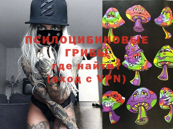 ALPHA-PVP Богородицк