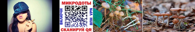 Купить закладки  Куса  Псилоцибиновые грибы мухоморы 